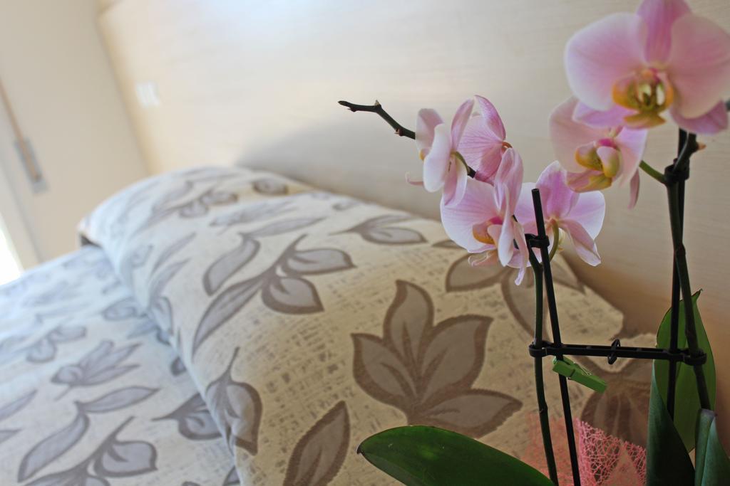 Hotel Silvia มิซาโน อาดรีอาติโก ภายนอก รูปภาพ