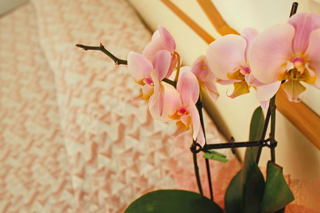 Hotel Silvia มิซาโน อาดรีอาติโก ภายนอก รูปภาพ